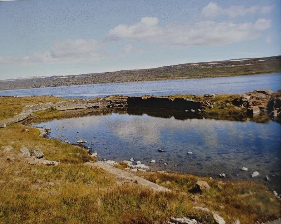 Reykjanes (The old pool)